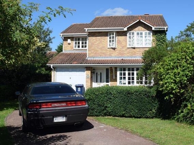 4 Bedroom Detached House For Rent In Hinchingbrooke Park