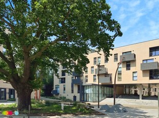 Burgess Springs, City Park West, Chelmsford - 1 bedroom apartment