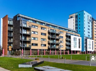 Studio flat for rent in Davaar House, Prospect Place, Cardiff Bay, CF11