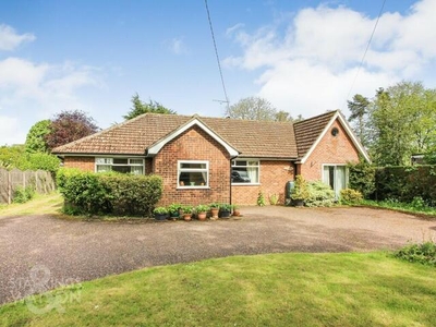 5 Bedroom Detached Bungalow For Sale In Thorpe Abbotts