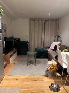 1 bedroom accessible apartment to rent London, E14 8GS