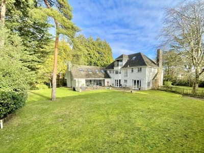 6 Bedroom Detached House For Sale In Talbot Woods, Bournemouth