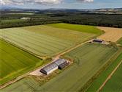 142.06 acres, Greens Of Gardyne, Forfar, Angus, DD8, Highlands and Islands