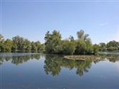 28 acres, Orchid Lakes, Dorechester-on-Thames, Wallingford, Oxfordshire