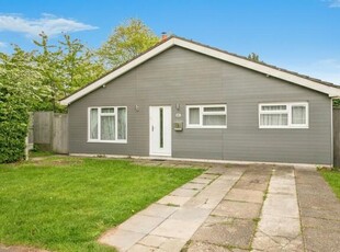 3 Bedroom Detached Bungalow For Sale In Stanway