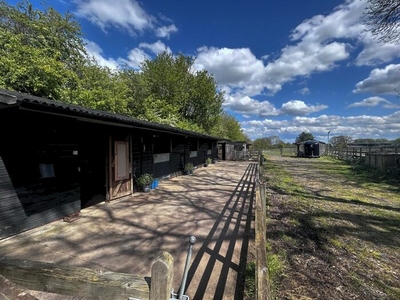 3 Bedroom Equestrian Facility For Sale