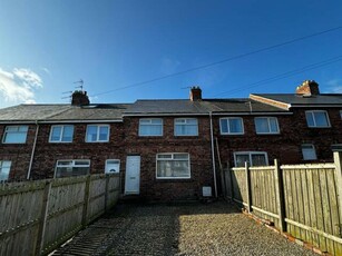 3 Bedroom Terraced House For Sale In Browney