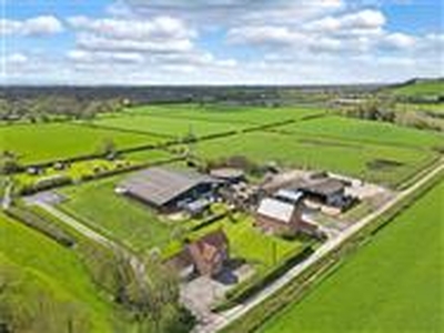 52.02 acres, Vole Road, Mark, Highbridge, TA9, Somerset