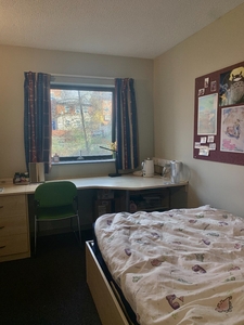 Room in a Shared Flat, Park Lane, LS3