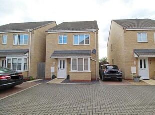 3 Bedroom Detached House For Sale In Newborough