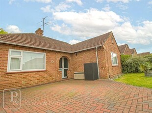 Bungalow to rent in Ambrose Avenue, Colchester, Essex CO3