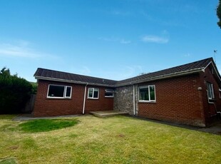 Detached bungalow to rent in Balland Lane, Ashburton, Newton Abbot TQ13