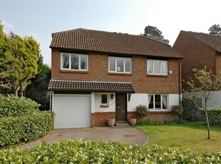 Detached house to rent in Burleigh Park, Cobham KT11