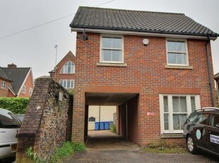 Detached house to rent in Rosemary Lane, Norwich NR3