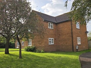 Flat to rent in Woodleigh, Drakes Broughton, Pershore WR10