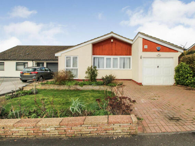 3 Bedroom Detached Bungalow For Rent In Twyford
