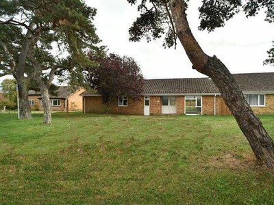 4 Bedroom Bungalow For Rent In Bury St. Edmunds, Suffolk