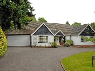 Detached bungalow to rent in Daintree, Bridle Lane, Loudwater, Rickmansworth WD3