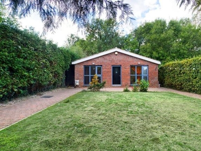 Bungalow to rent in Parkwood, Doddinghurst Road, Brentwood, Essex CM15