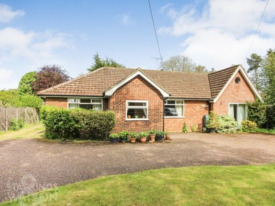 Detached bungalow for sale in Mill Road, Thorpe Abbotts, Diss IP21