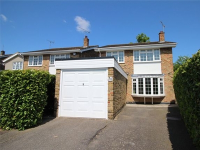 Detached house to rent in Chestwood Close, Billericay CM12