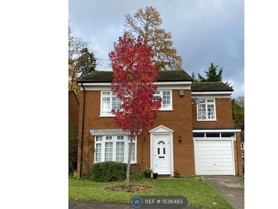 Detached house to rent in Old Portsmouth Road, Surrey GU15