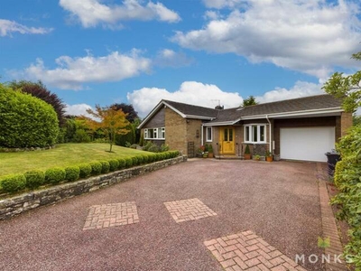 3 Bedroom Detached Bungalow For Rent In Clive