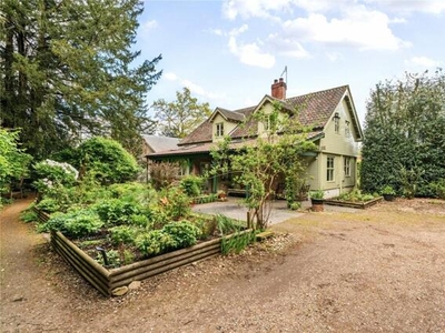 4 Bedroom Detached House For Sale In Bury St. Edmunds, Suffolk