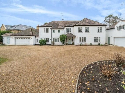 7 Bedroom Detached House For Rent In Berkshire