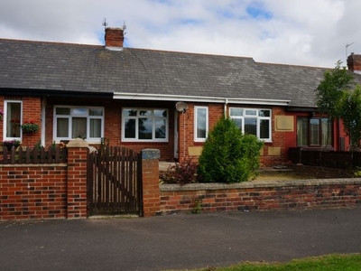 Bungalow to rent in Coronation Cottages, Shotton Colliery, Durham, Durham DH6