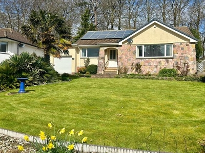 Detached bungalow for sale in Seymour Drive, Torquay TQ2