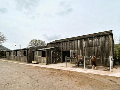 Equestrian Facility For Rent In Taunton, Somerset