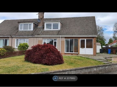 Semi-detached house to rent in Broughty Ferry, Broughty Ferry, Dundee DD5