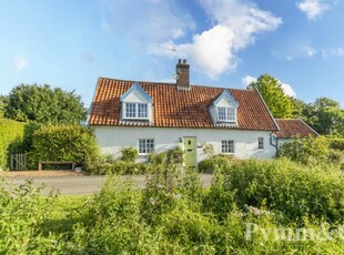 Cottage for sale in Hollow Lane, Shotesham St Mary NR15