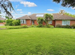 Detached bungalow for sale in High Road, Trimley St. Martin, Felixstowe IP11