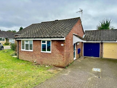 2 Bedroom Semi-detached Bungalow For Sale In Whitehill, Hampshire