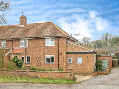 3 Bedroom Semi-detached House For Sale In Horstead