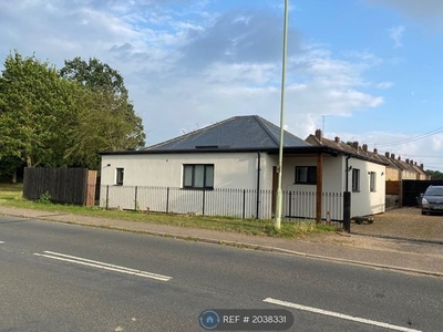 Bungalow to rent in College Heath Road, Mildenhall, Bury St. Edmunds IP28