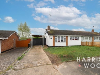 Bungalow to rent in Cromwell Way, Witham, Essex CM8