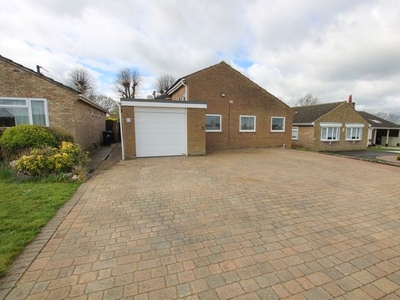 Detached bungalow to rent in Peterhouse Drive, Newmarket CB8