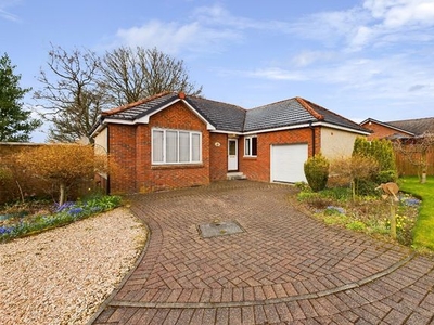 Detached bungalow to rent in Sykehead Drive, Biggar ML12