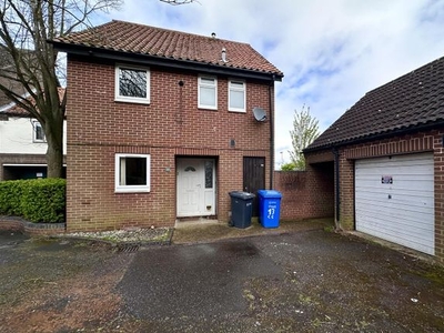 Detached house to rent in Cotterall Court, Norwich NR5