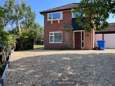 Detached house to rent in Holworthy Road, Norwich NR5