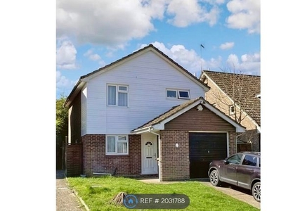Detached house to rent in Netley Close, Ipswich IP2