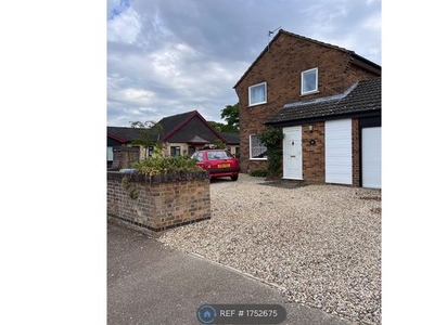 Detached house to rent in The Hedgerows, Norwich NR5