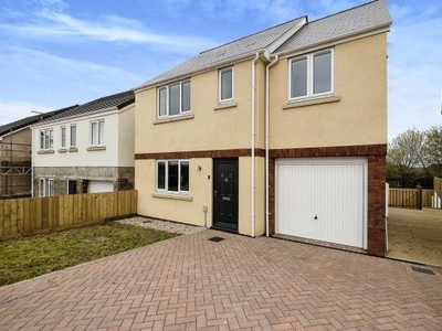 Detached house to rent in Tribune Drive, Newton Abbot TQ12