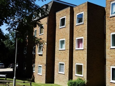 Flat to rent in Osprey House, Briardale, Ware SG12