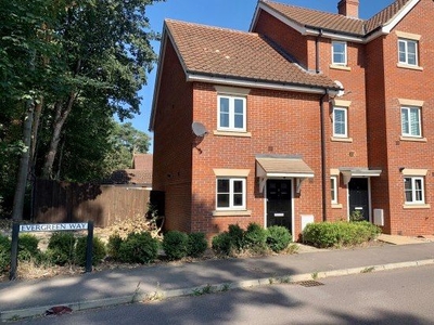 Semi-detached house to rent in Evergreen Way, Bury St. Edmunds IP28