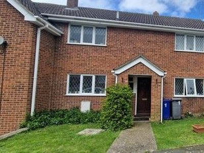 Semi-detached house to rent in Goldings Close, Haverhill CB9