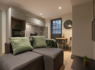 Studio flat for rent in Rodney Street, Liverpool, L1